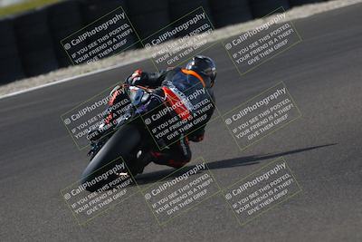 media/Oct-12-2025-CRA (Sun) [[e621380112]]/Races/Race 9/